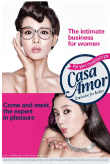 2015最新韩国爱情喜剧片《工作女郎》