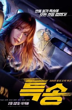 2022韩国犯罪动作片《特送》高清下载