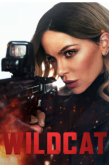 2025美国动作片《限时营救》高清下载