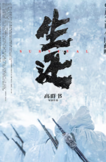 2025国产战争片《生还》高清下载