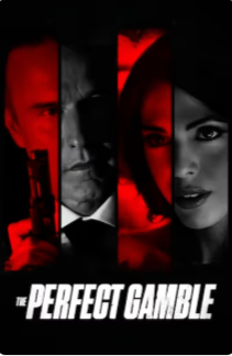 2025美国犯罪片《完美赌局》高清下载