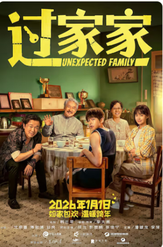 2026国产剧情片《过家家》高清下载