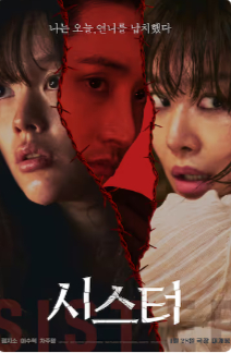 2026韩国惊悚片《姐妹》高清下载