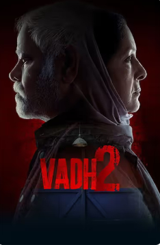 2026印度惊悚片《迟暮绝路2》高清下载