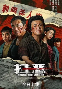 2026国产动作片《扫恶》高清下载