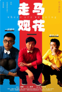 2026国产剧情片《走马观花》高清下载